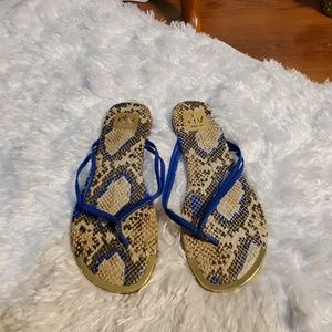 DV by Dolce Vita Snakeskin Print Thong Sandals Blue Straps Gold Trim‎